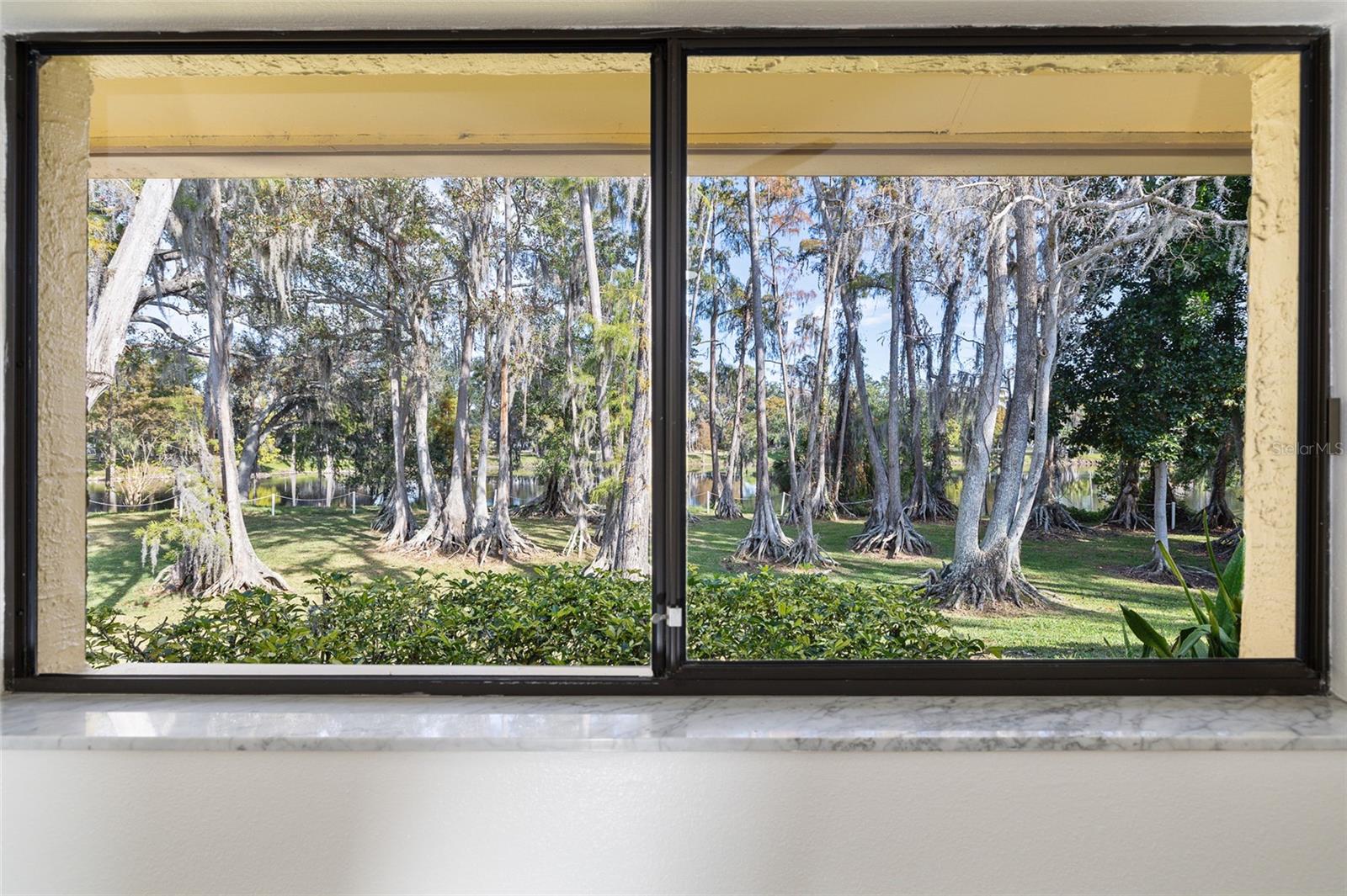 View from the Primary Bedroom