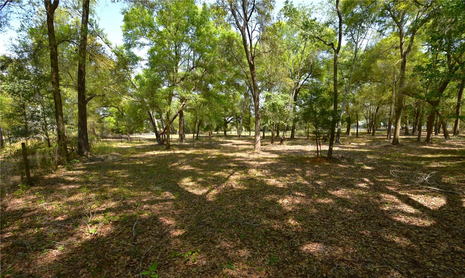 REAR 2.5 ACRE PARCEL