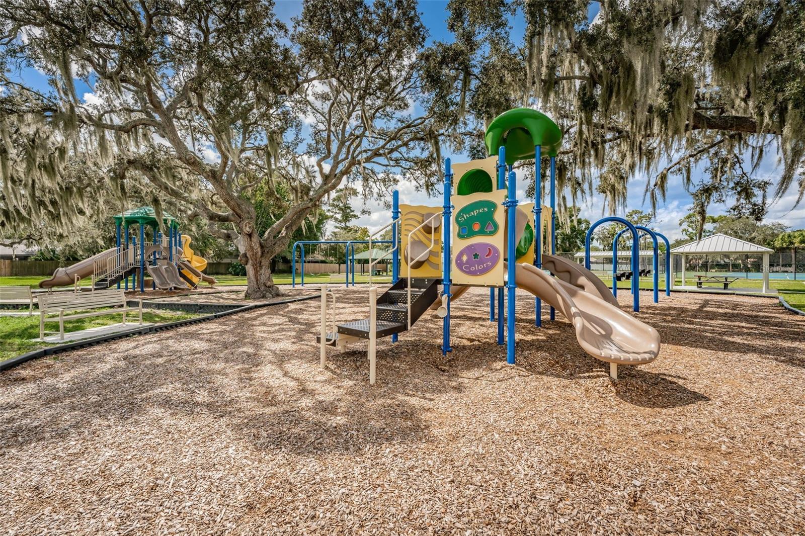 Community Playground