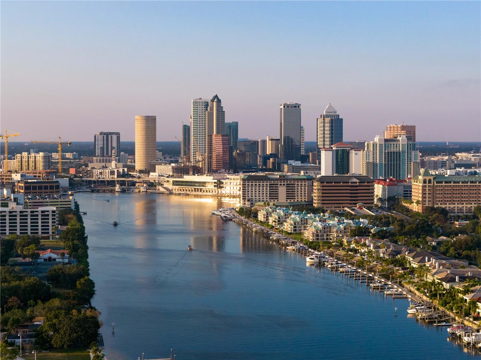 1037 ROYAL PASS RD, TAMPA, FL, 33602