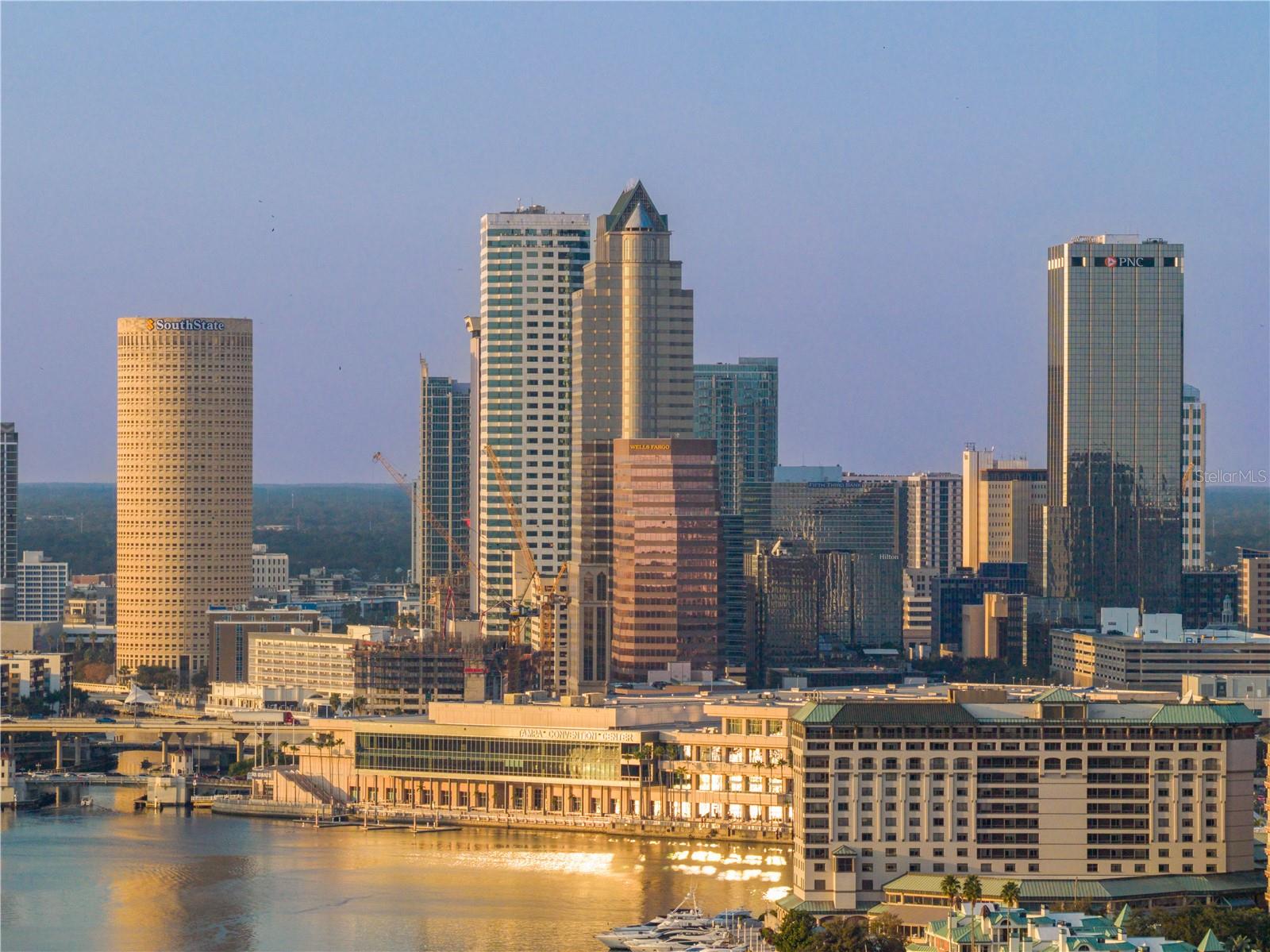 1037 ROYAL PASS RD, TAMPA, FL, 33602