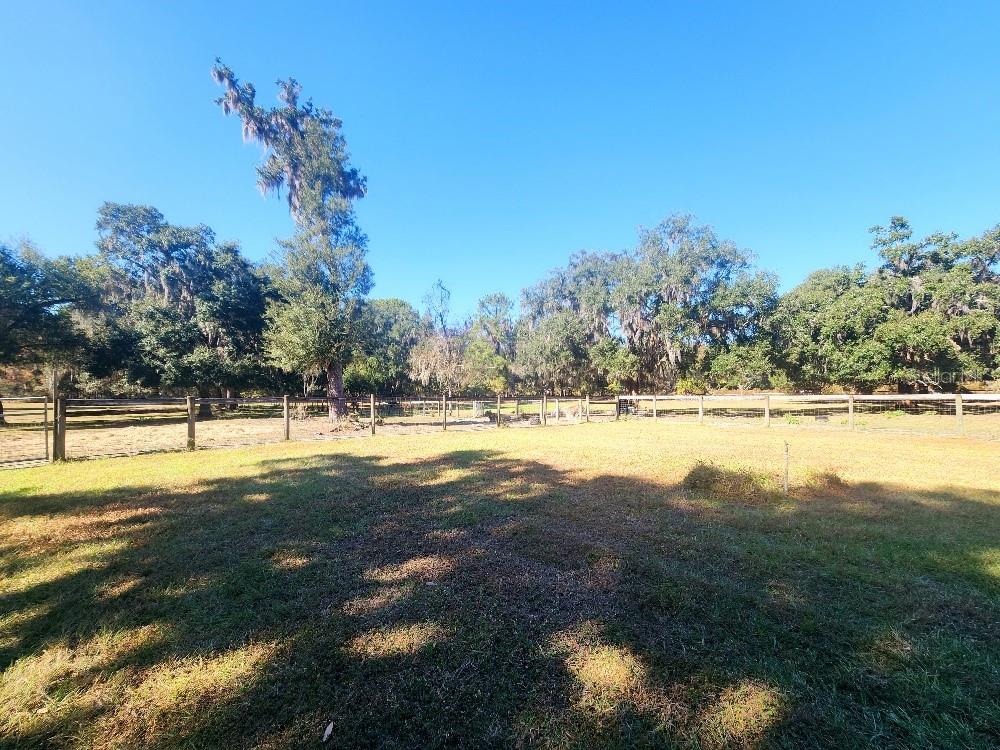 Pasture