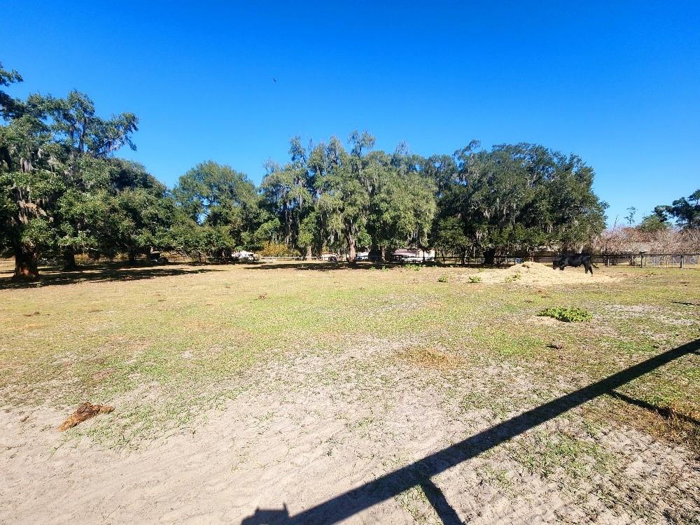 Pasture