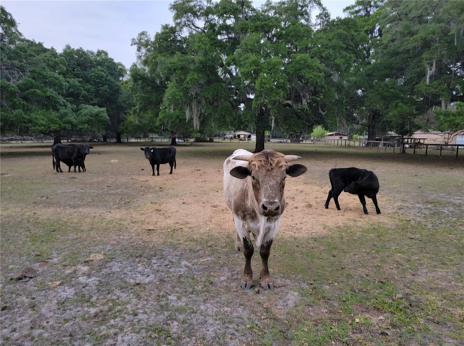 Farm Living
