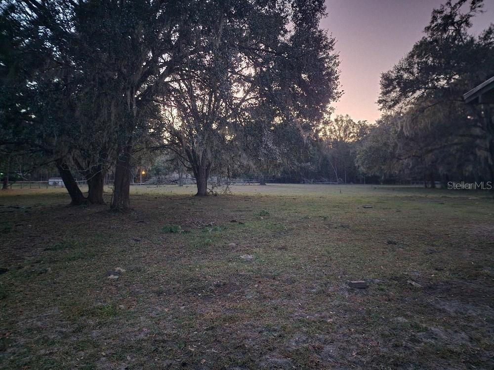 Pasture