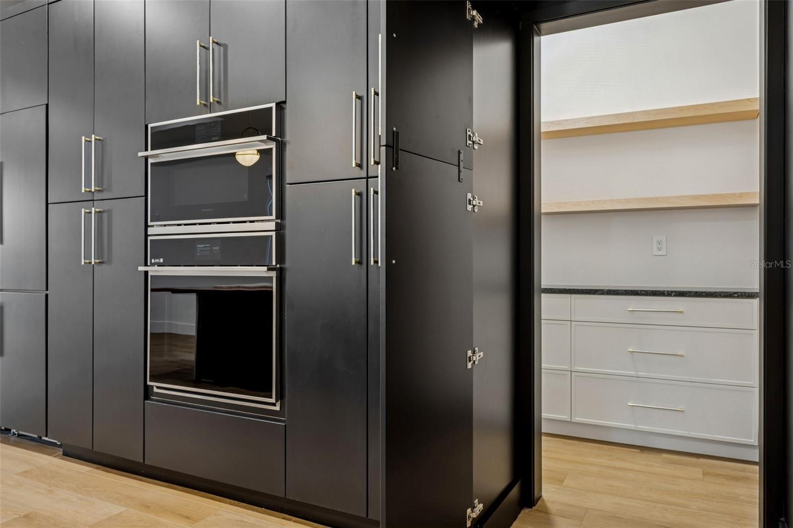 Hidden Butler's Pantry