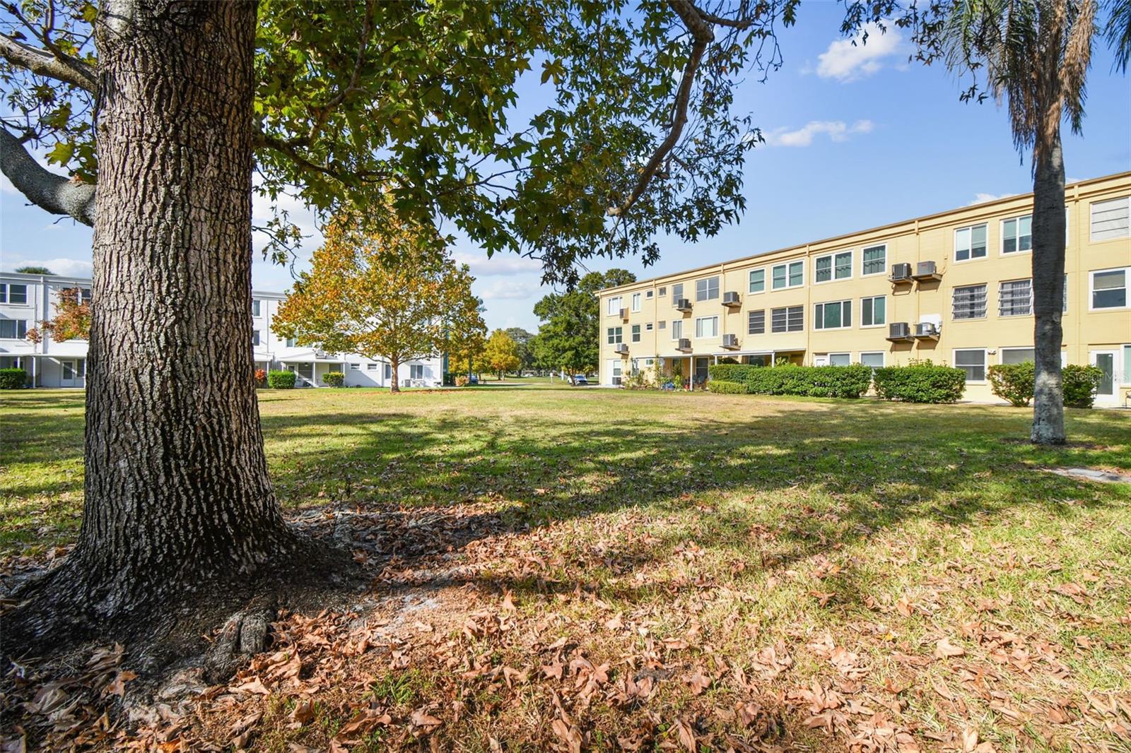 TB8451282 Property Photo