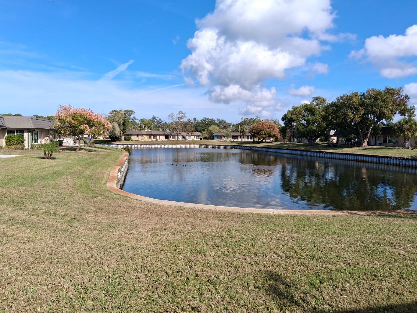 Lake view 1
