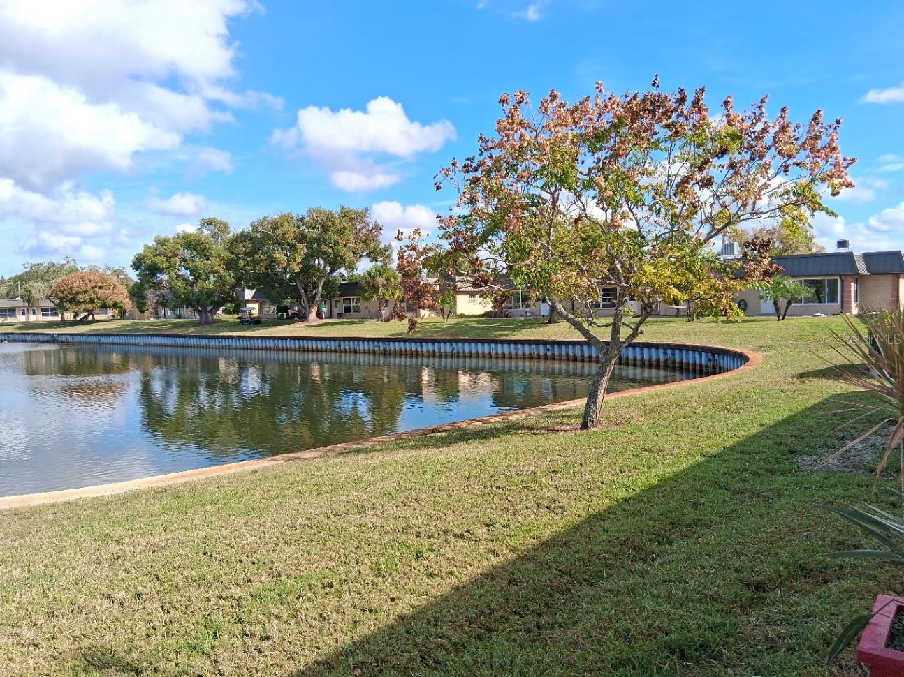 Lake view 2