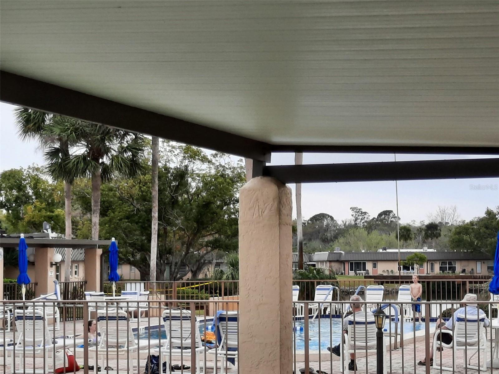 Pool and deck