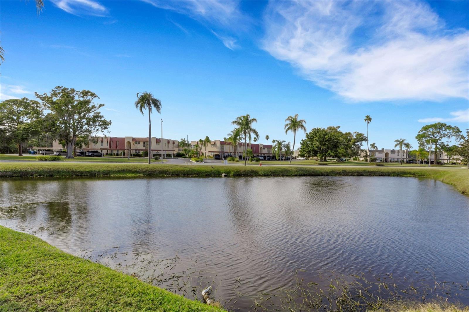 Pond Adjacent to Parking