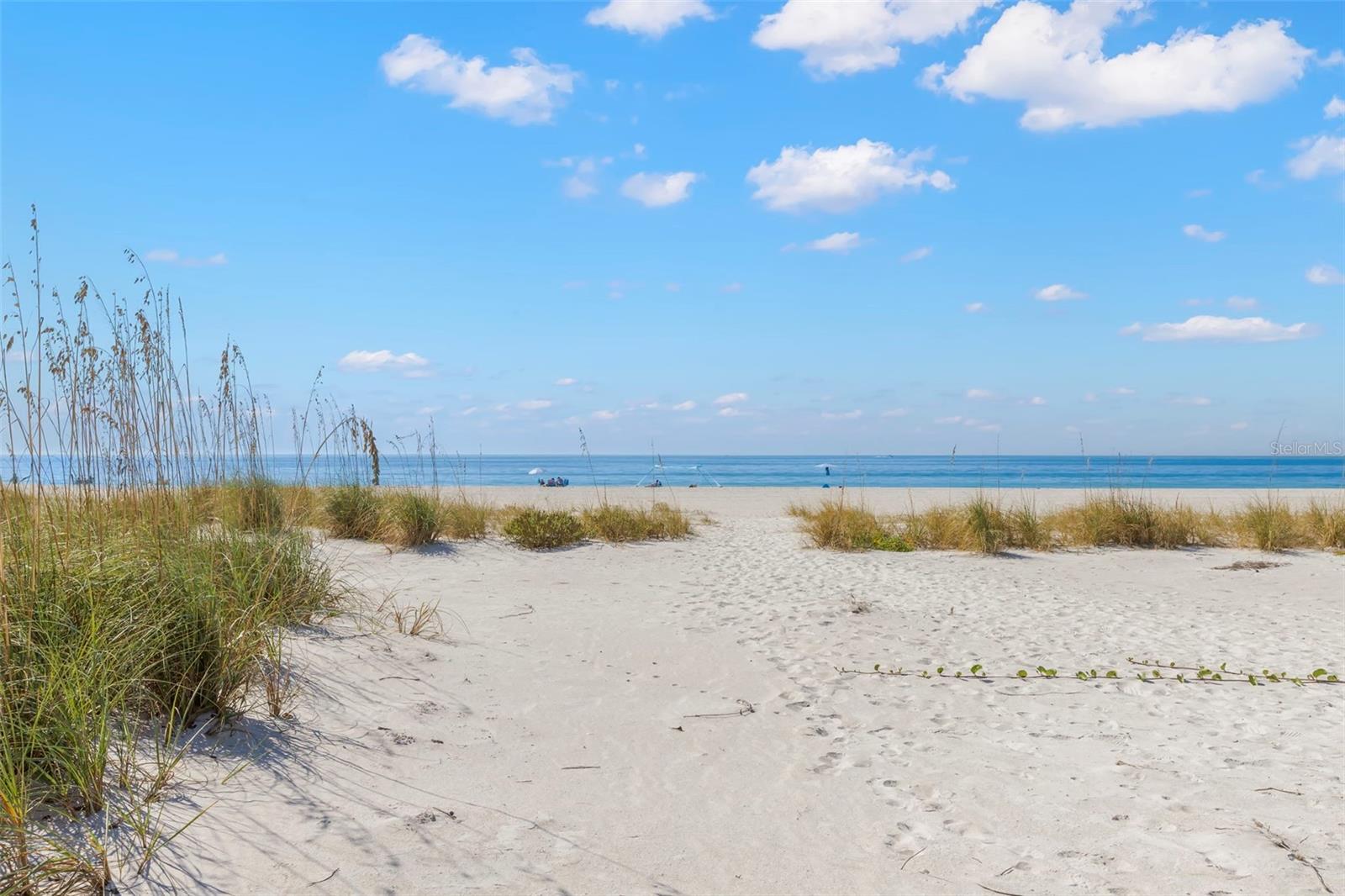 TB8451652 Property Photo