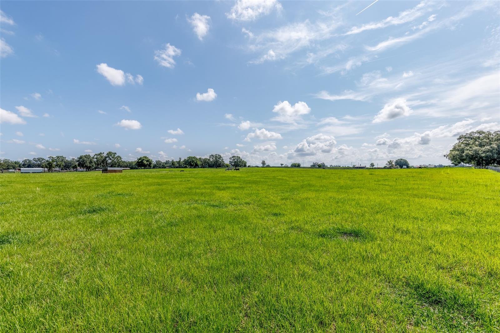 OM714267 Property Photo