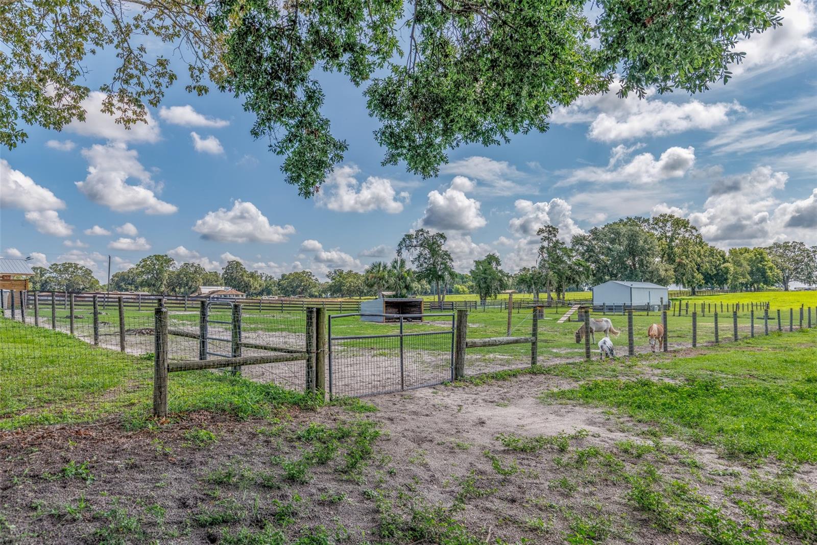 OM714267 Property Photo