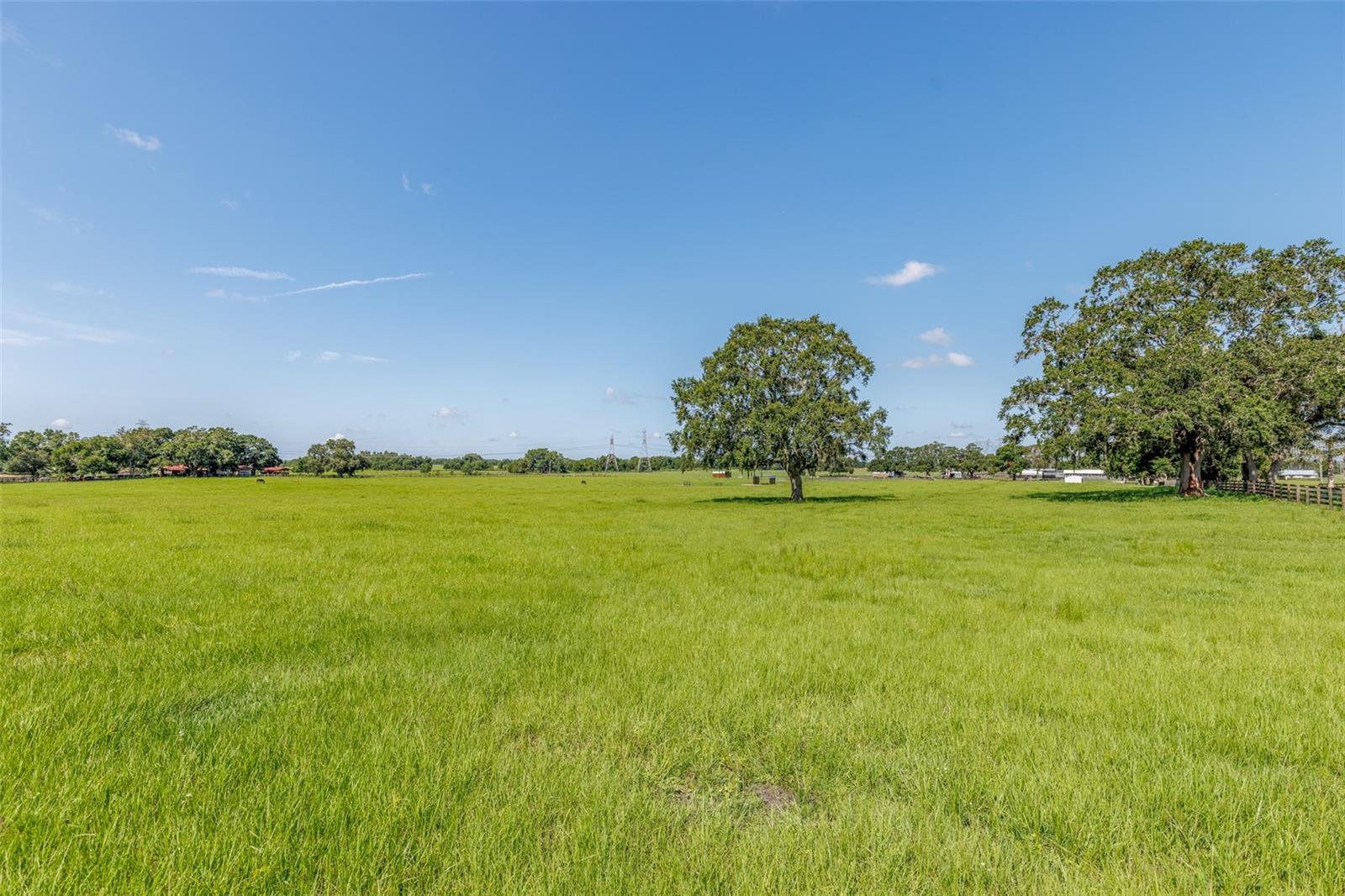 OM714267 Property Photo