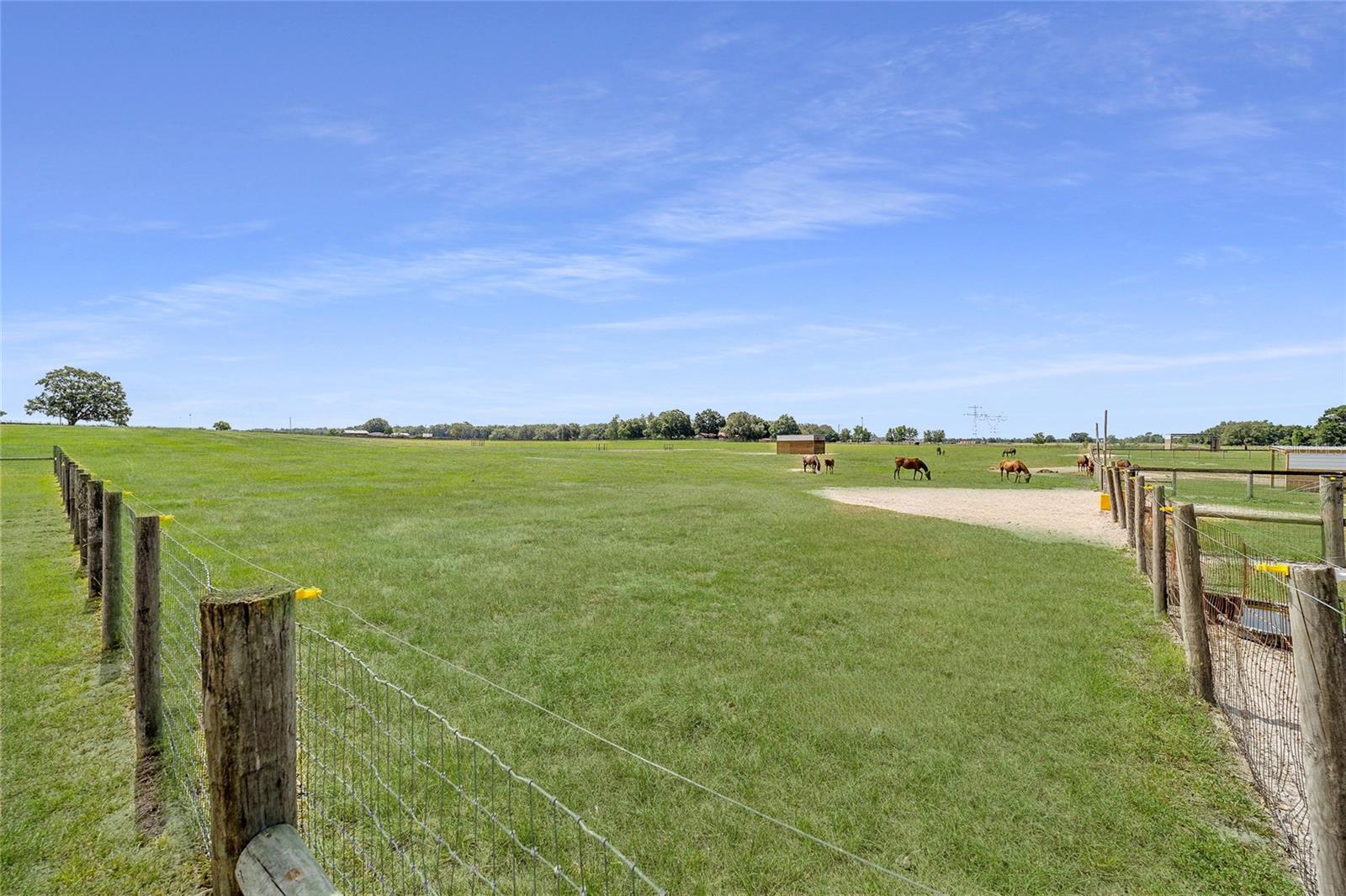 OM714267 Property Photo