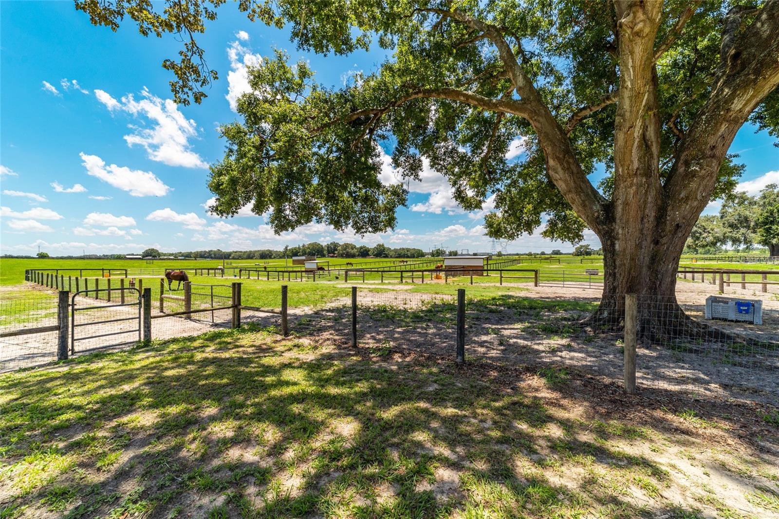 OM714267 Property Photo