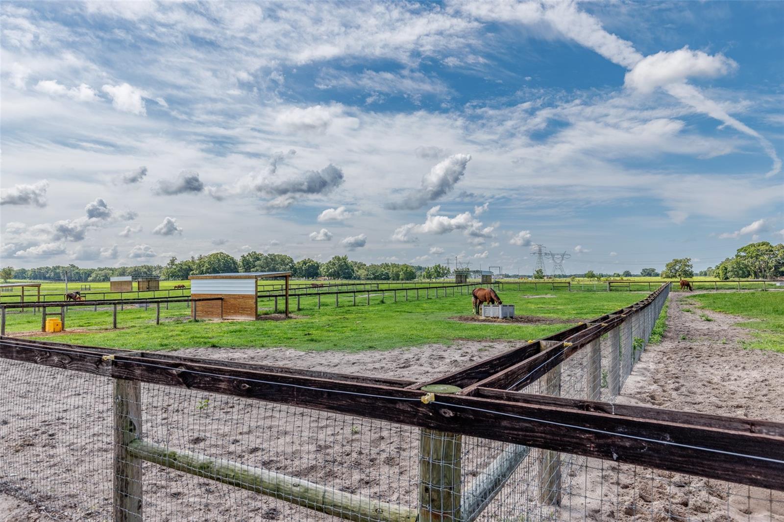 OM714267 Property Photo