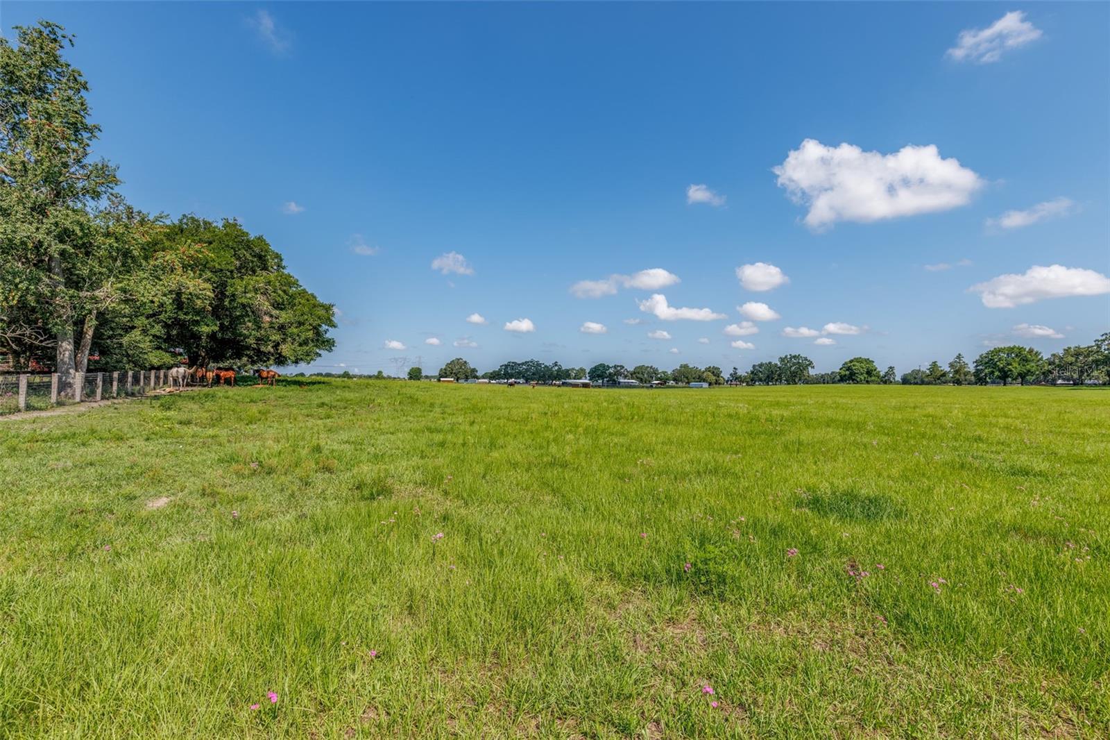 OM714267 Property Photo