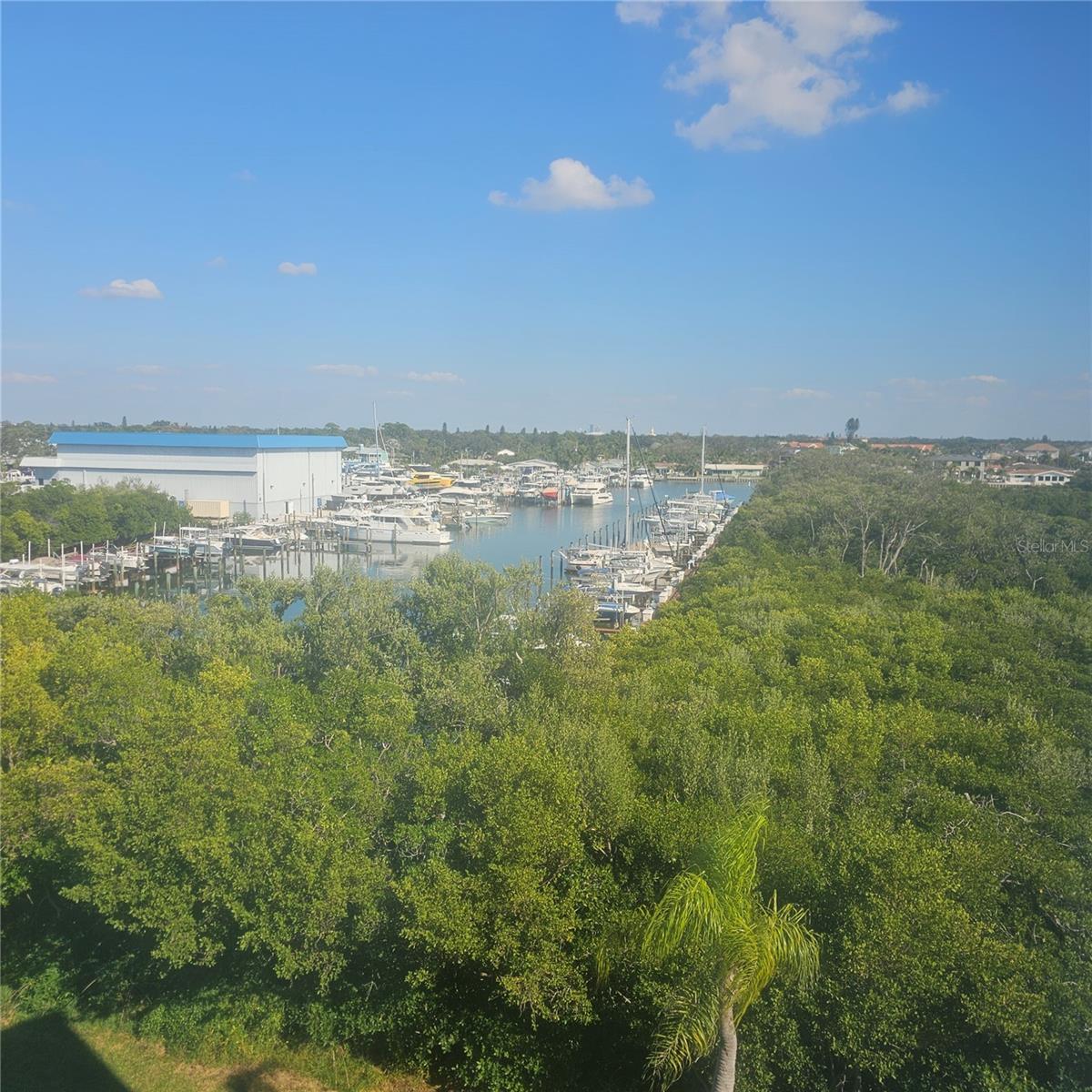View from Balcony