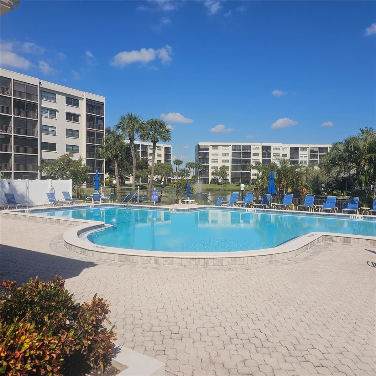Pasadena Cove Pool