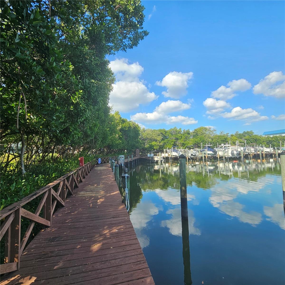 Pasadena Cove Marina