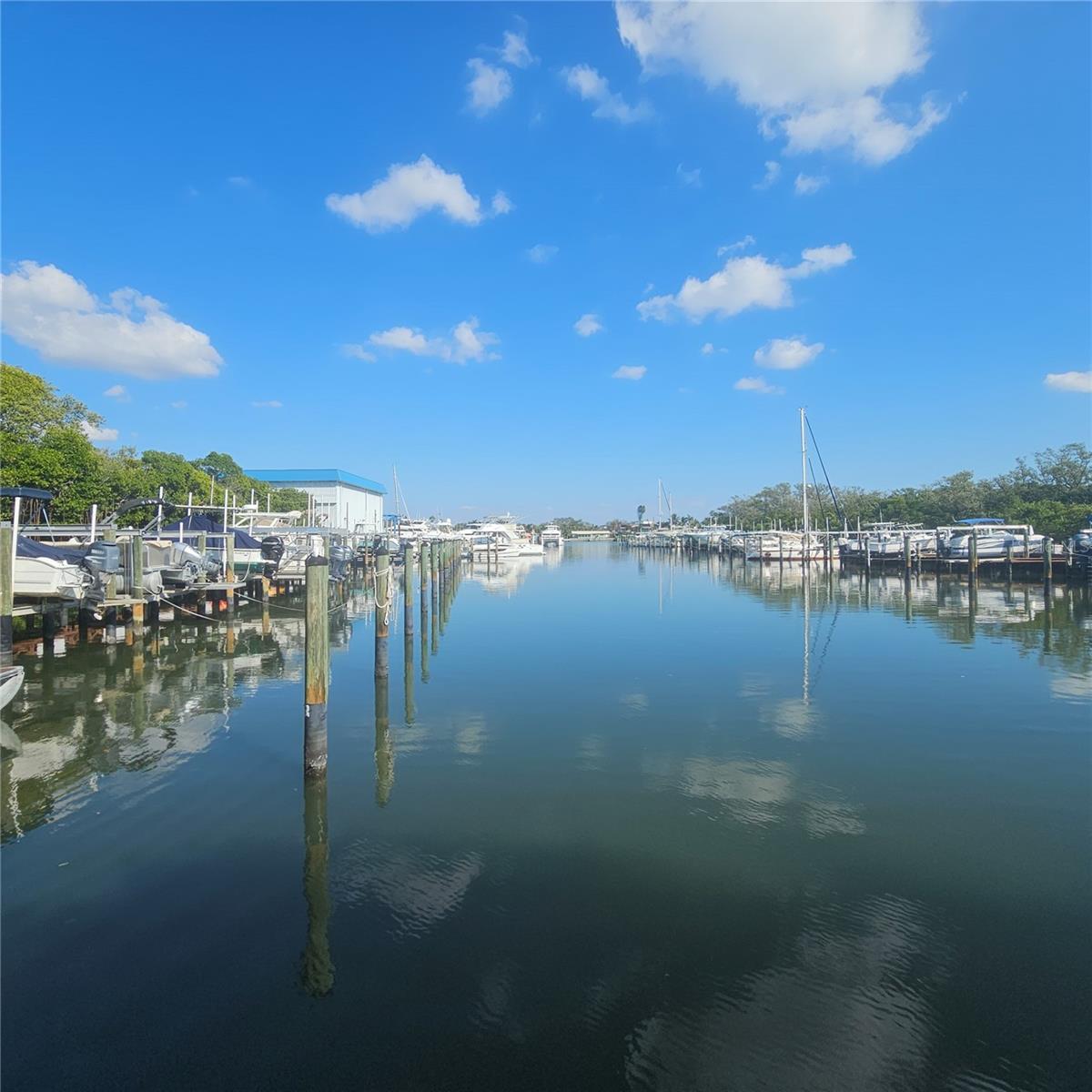 Pasadena Cove Marina