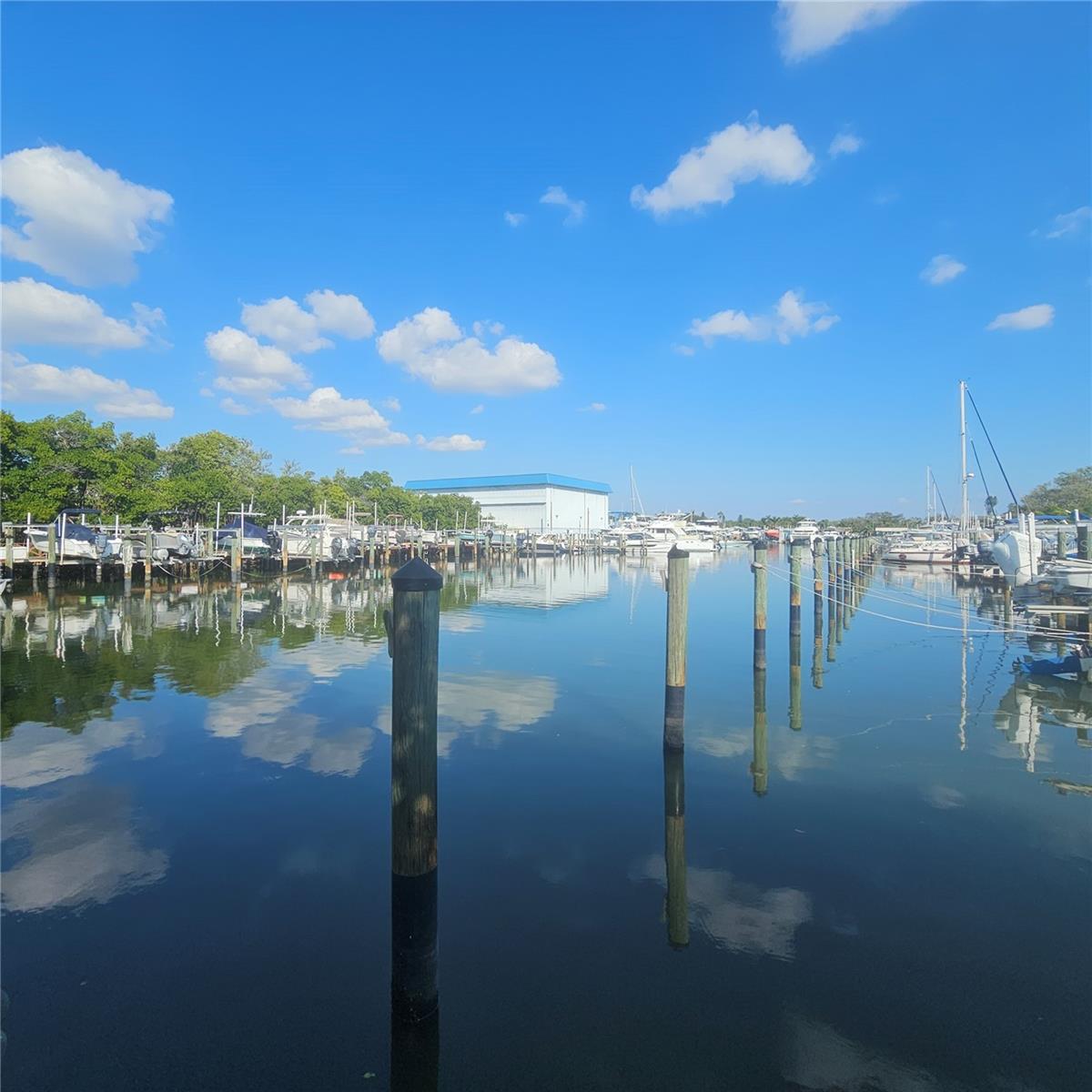 Pasadena Cove Marina