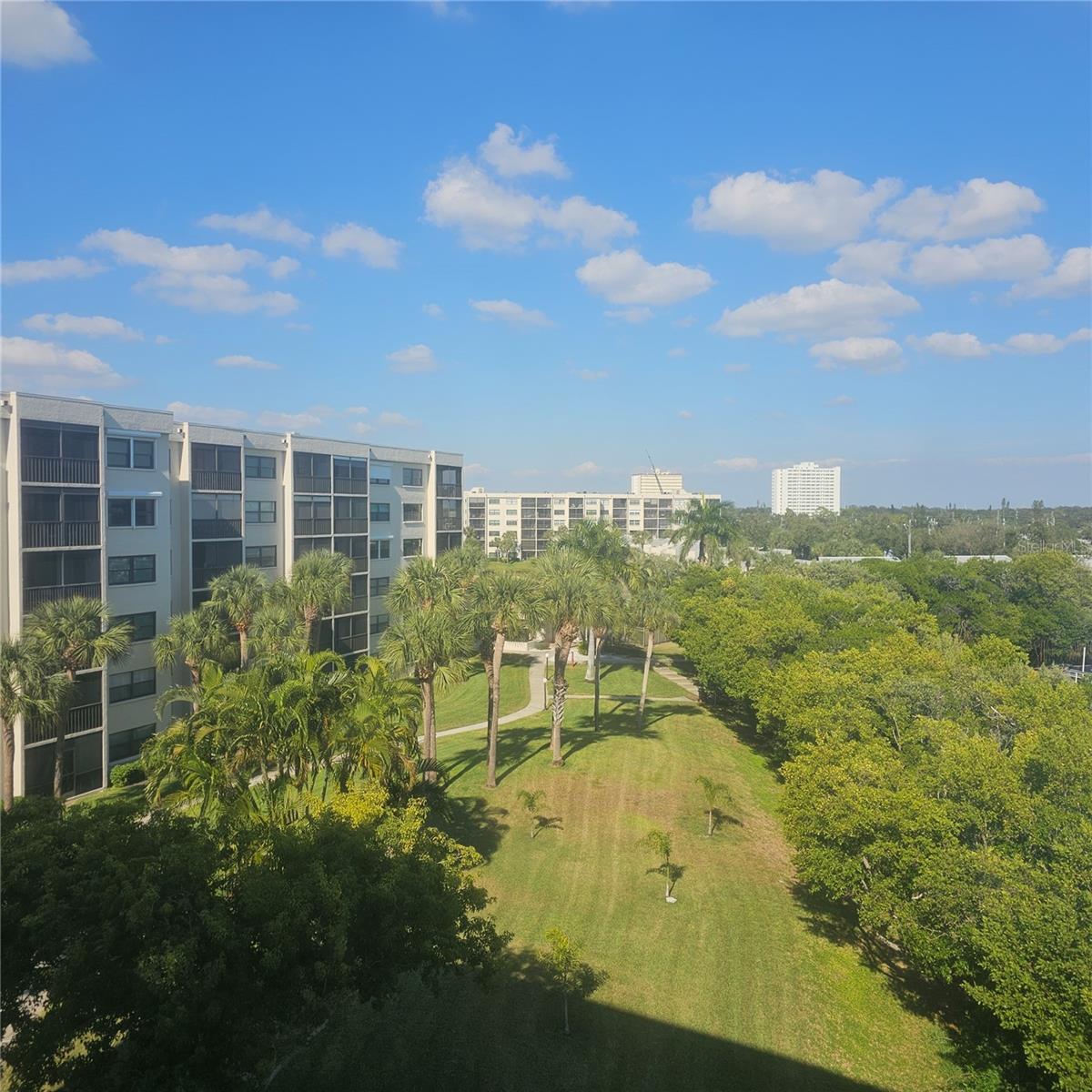 View from Kitchen