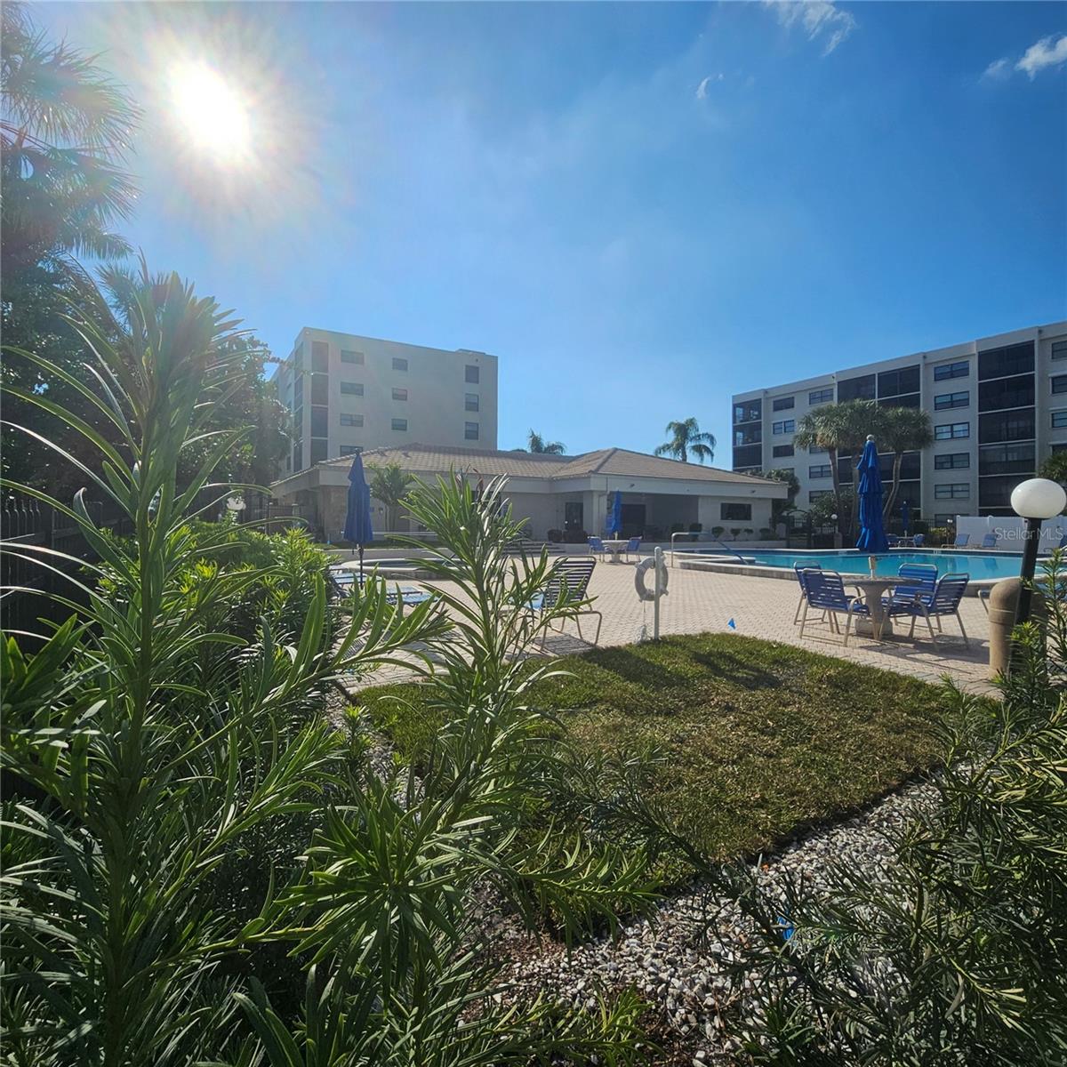 Pasadena Cove Pool