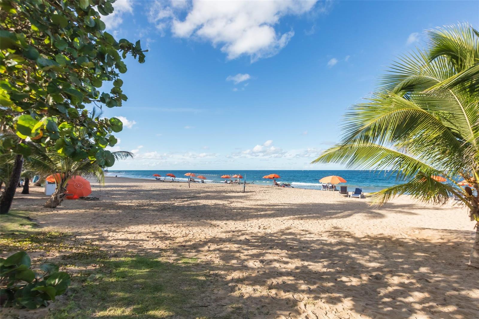 PR9117691 Property Photo