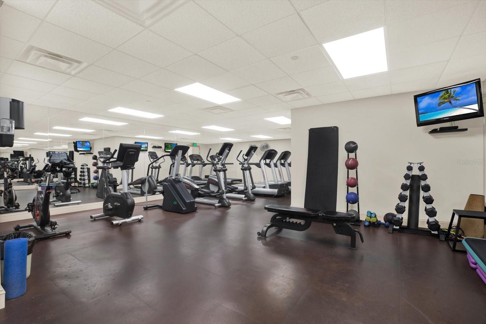 345 Bayshore Blvd Gym