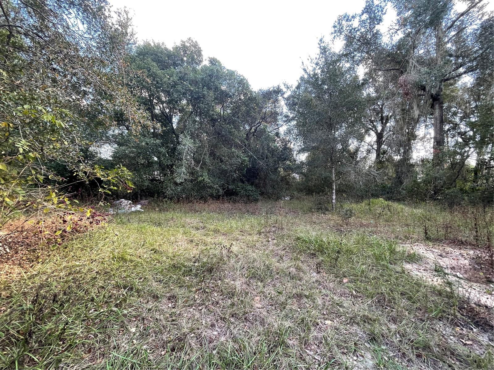 O6364674 Property Photo