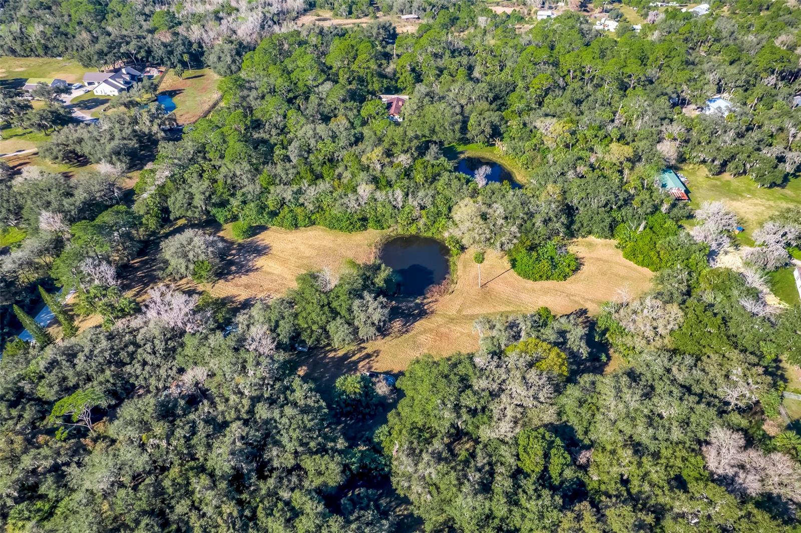 2380 BASS BOULEVARD, GENEVA, FL, 32732