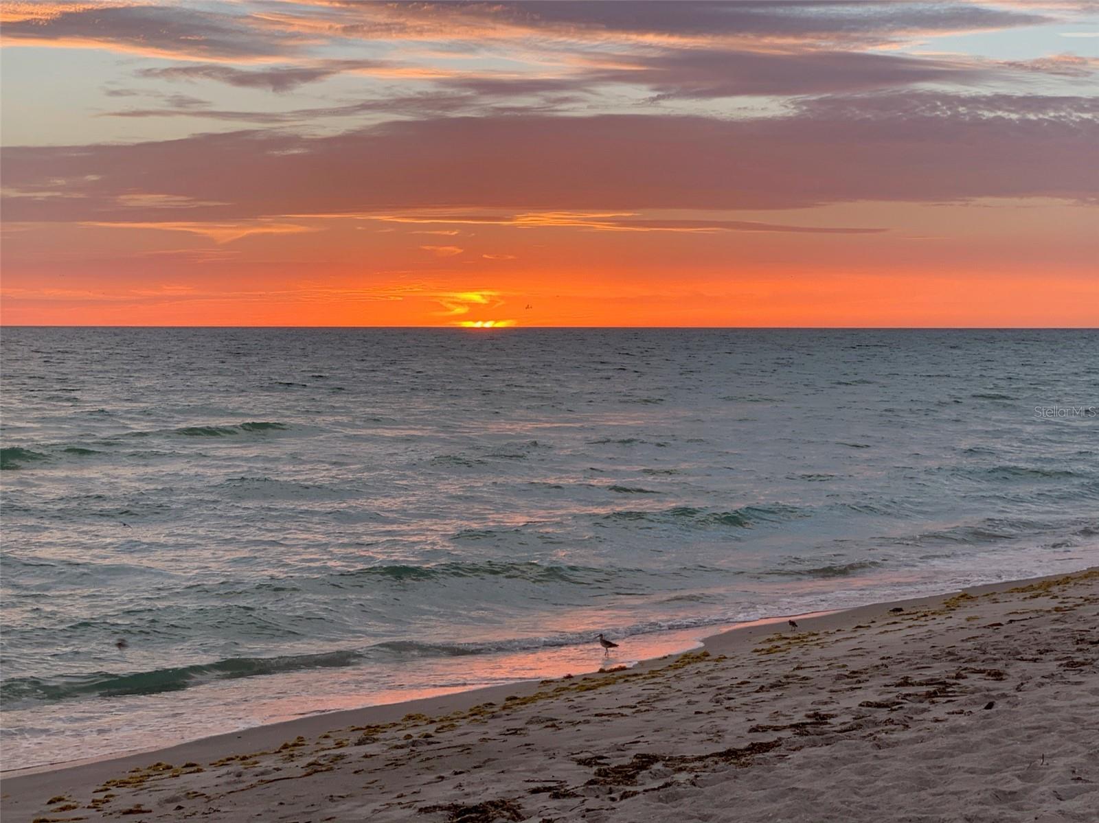 A4674266 Property Photo