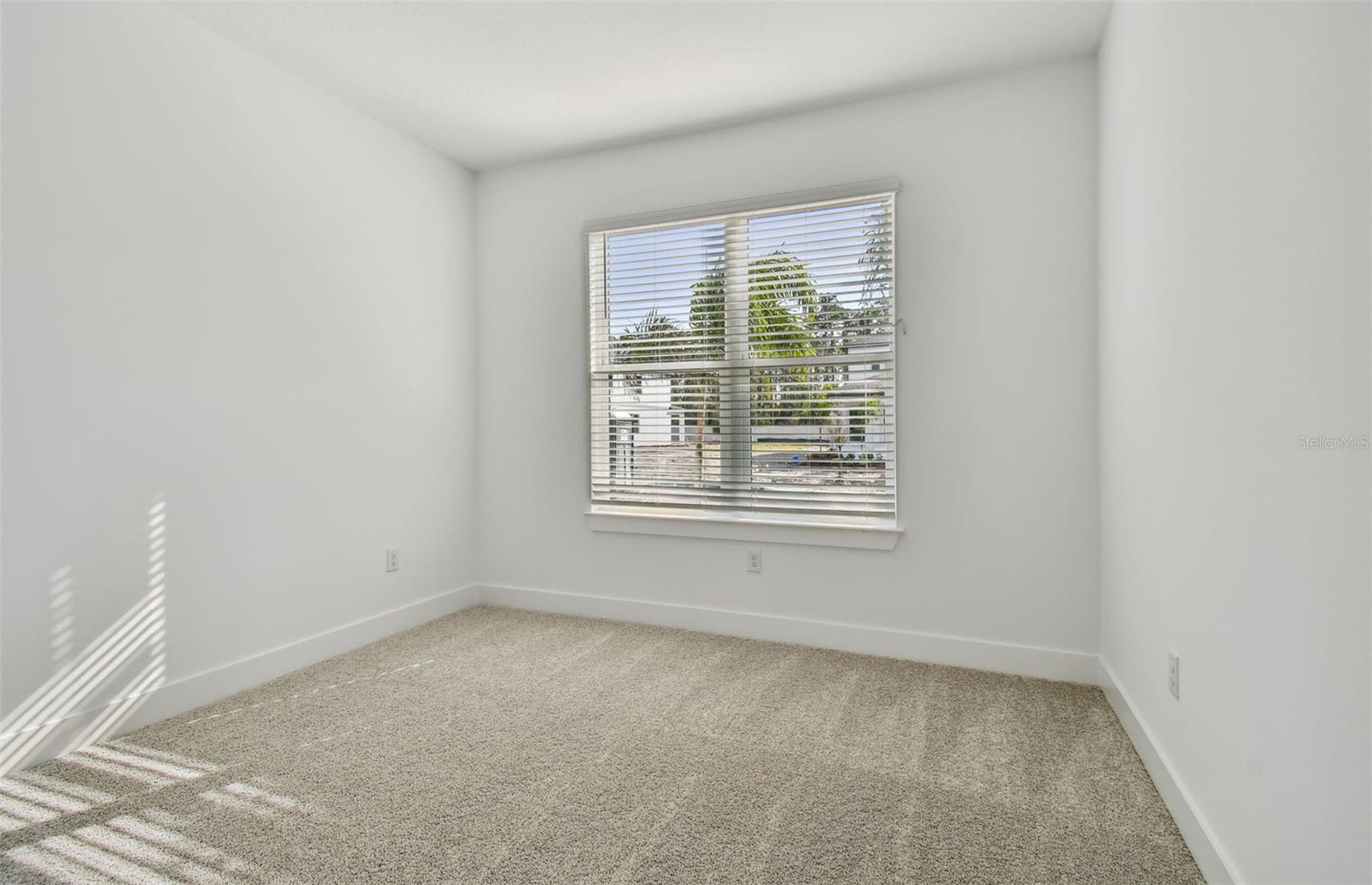 Model Representation