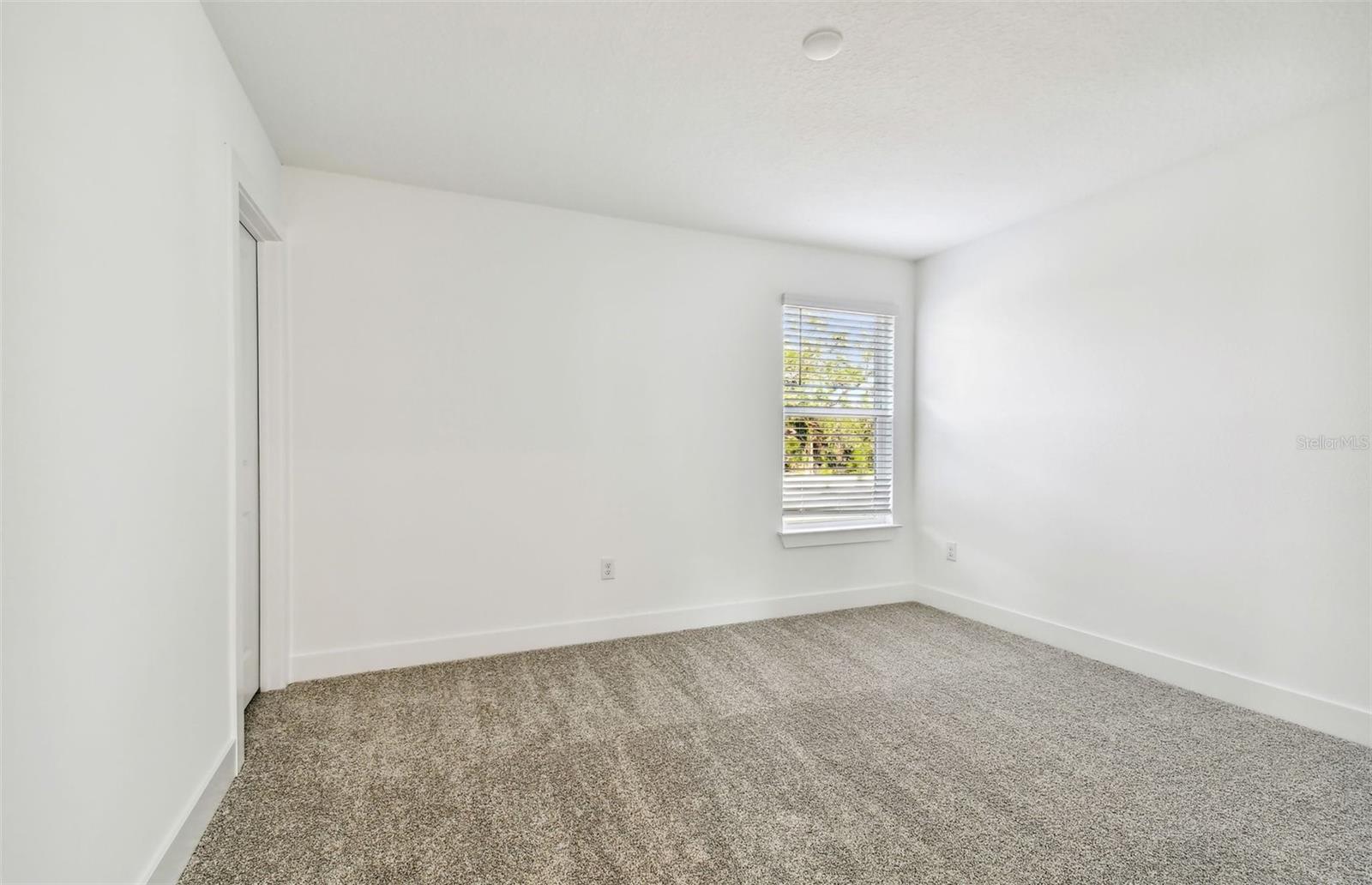 Model Representation