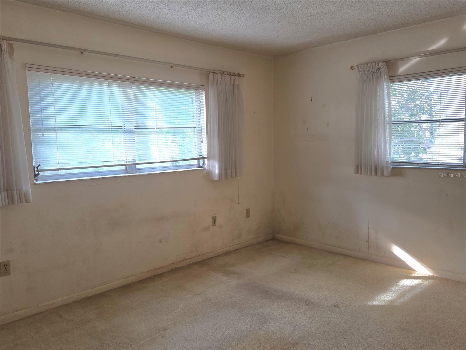 Two windows in primary bedroom