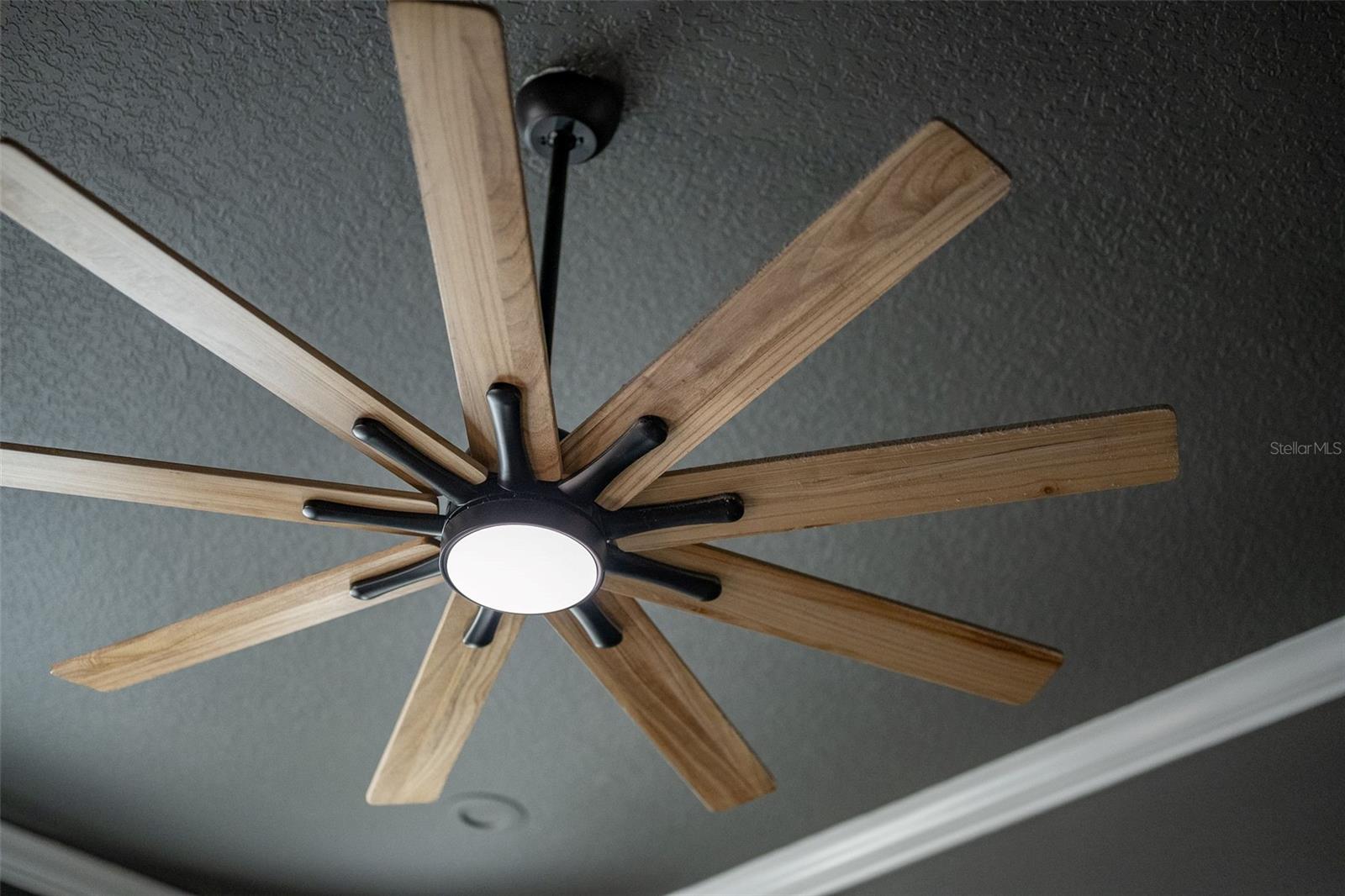 O6365662 Property Photo