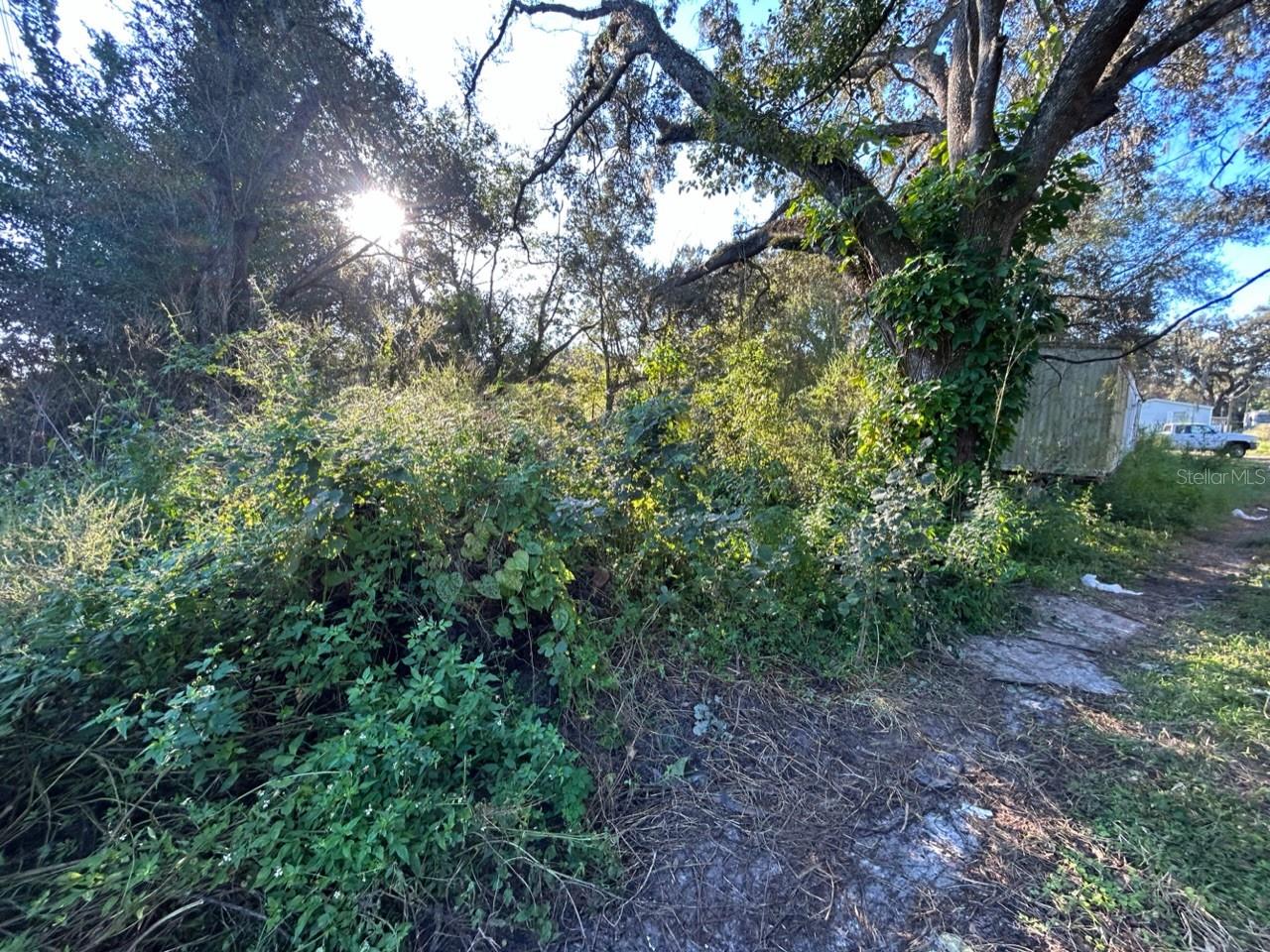 TB8454491 Property Photo