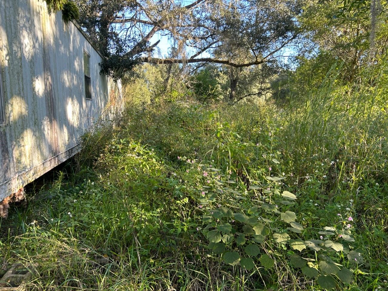 TB8454491 Property Photo