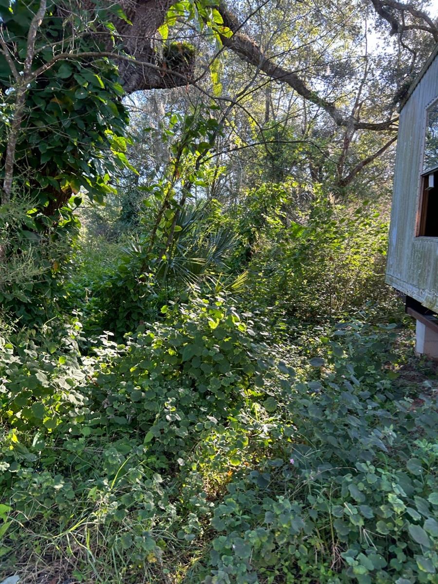 TB8454491 Property Photo