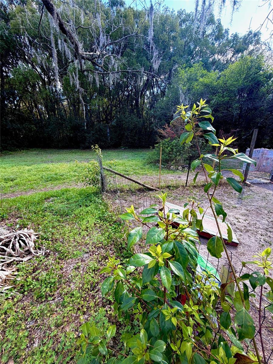 25327 NE STATE ROAD 26, MELROSE, FL, 32666