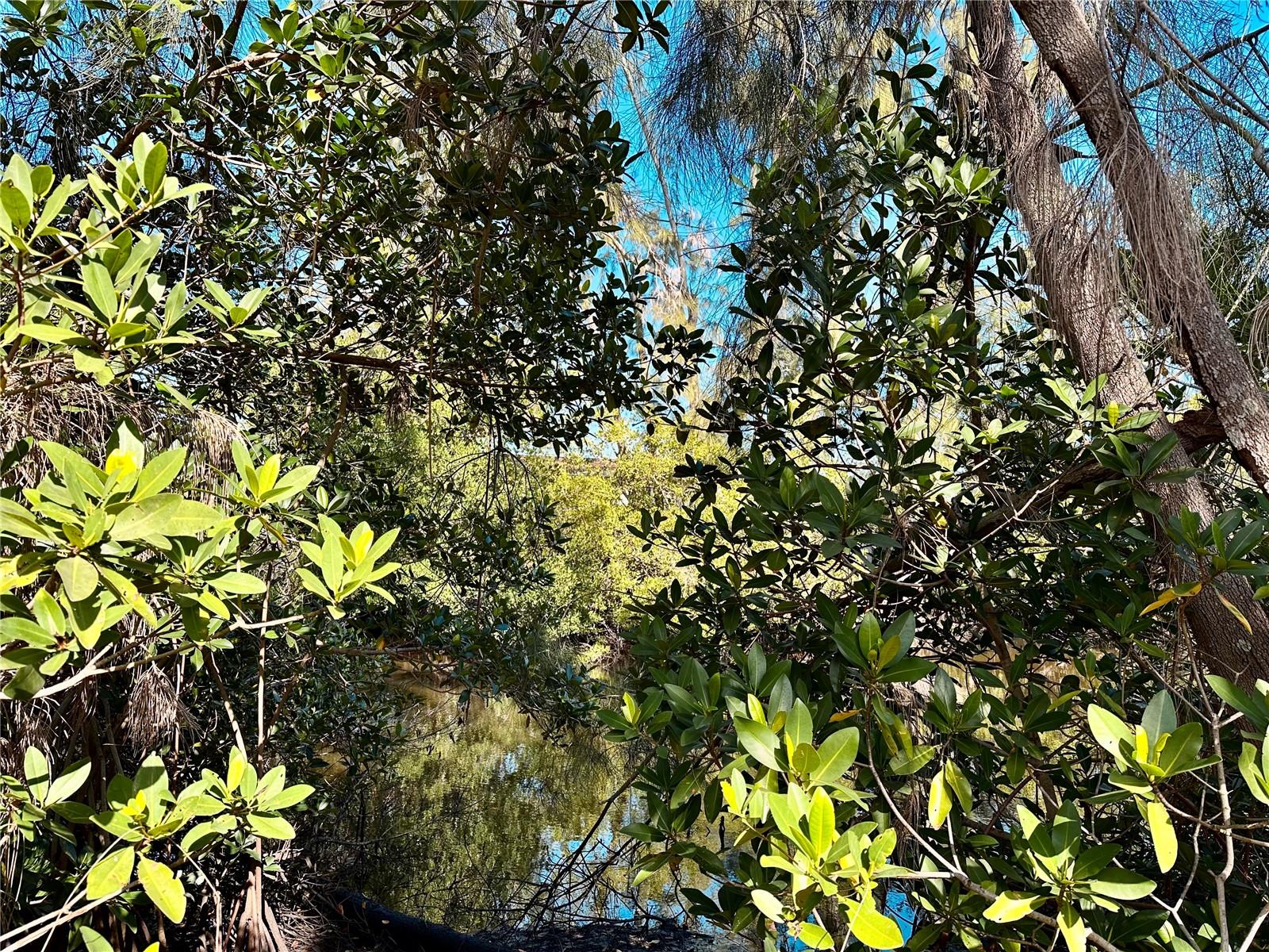 TB8454730 Property Photo