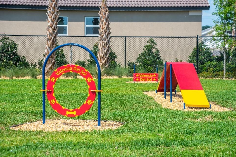 Large breed dog park