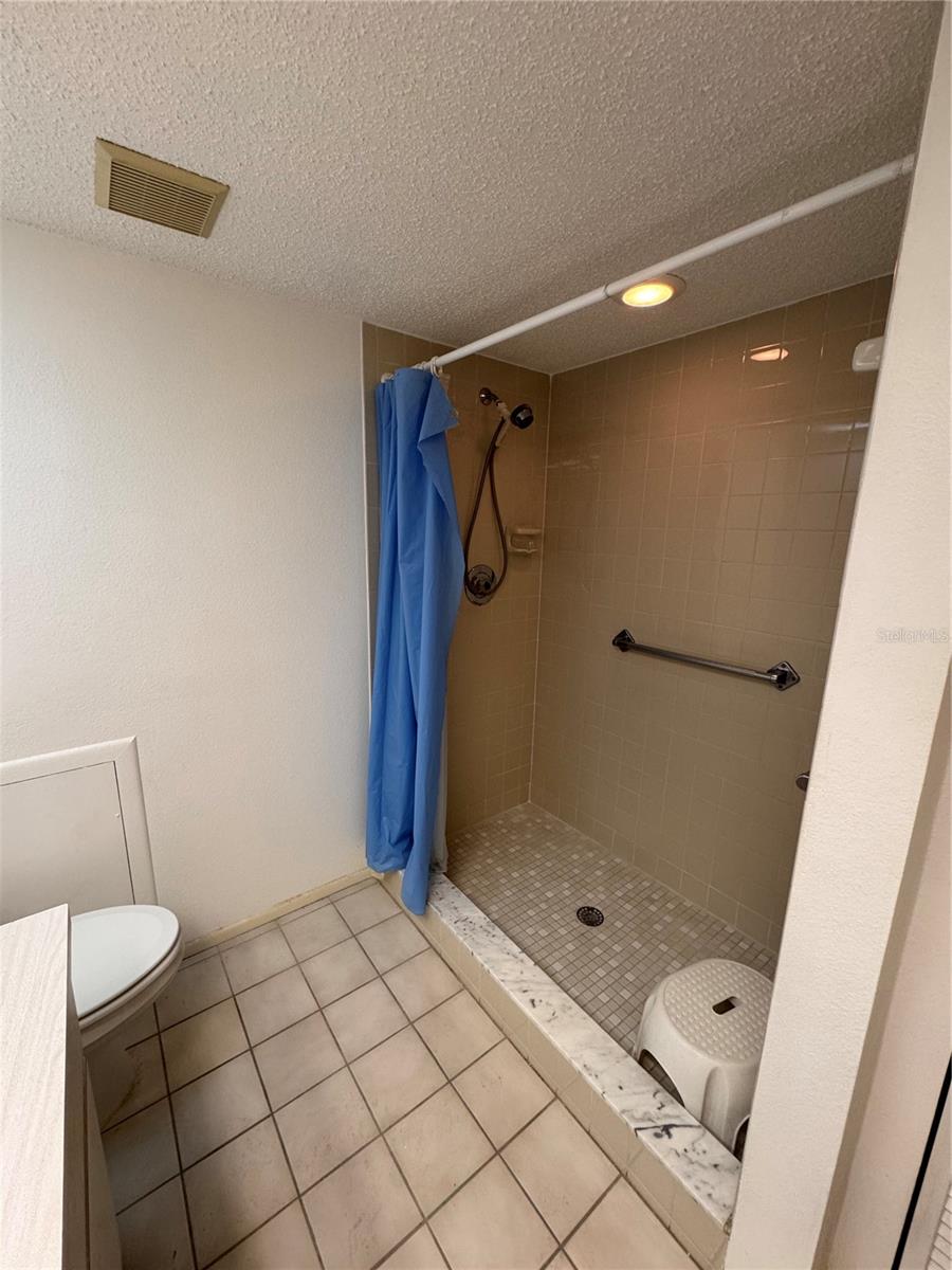 Step in shower in primary bathroom