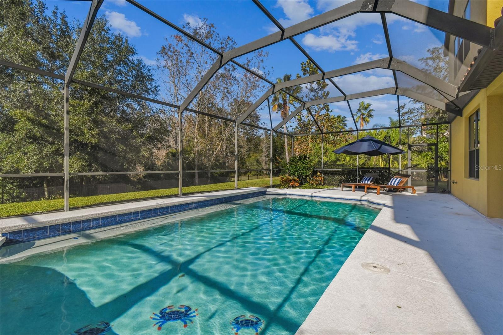 Screened pool with water features