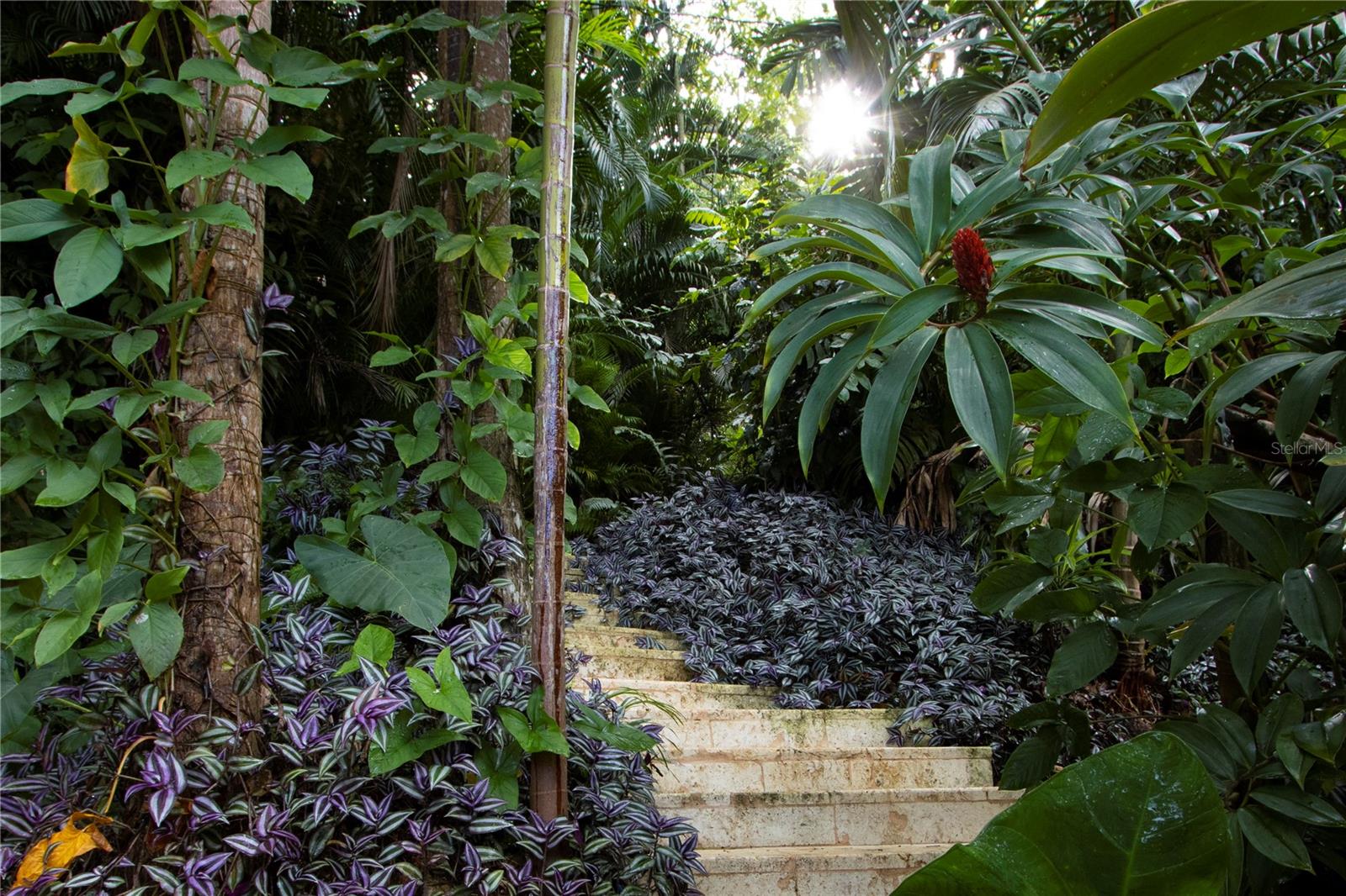 PR9117865 Property Photo