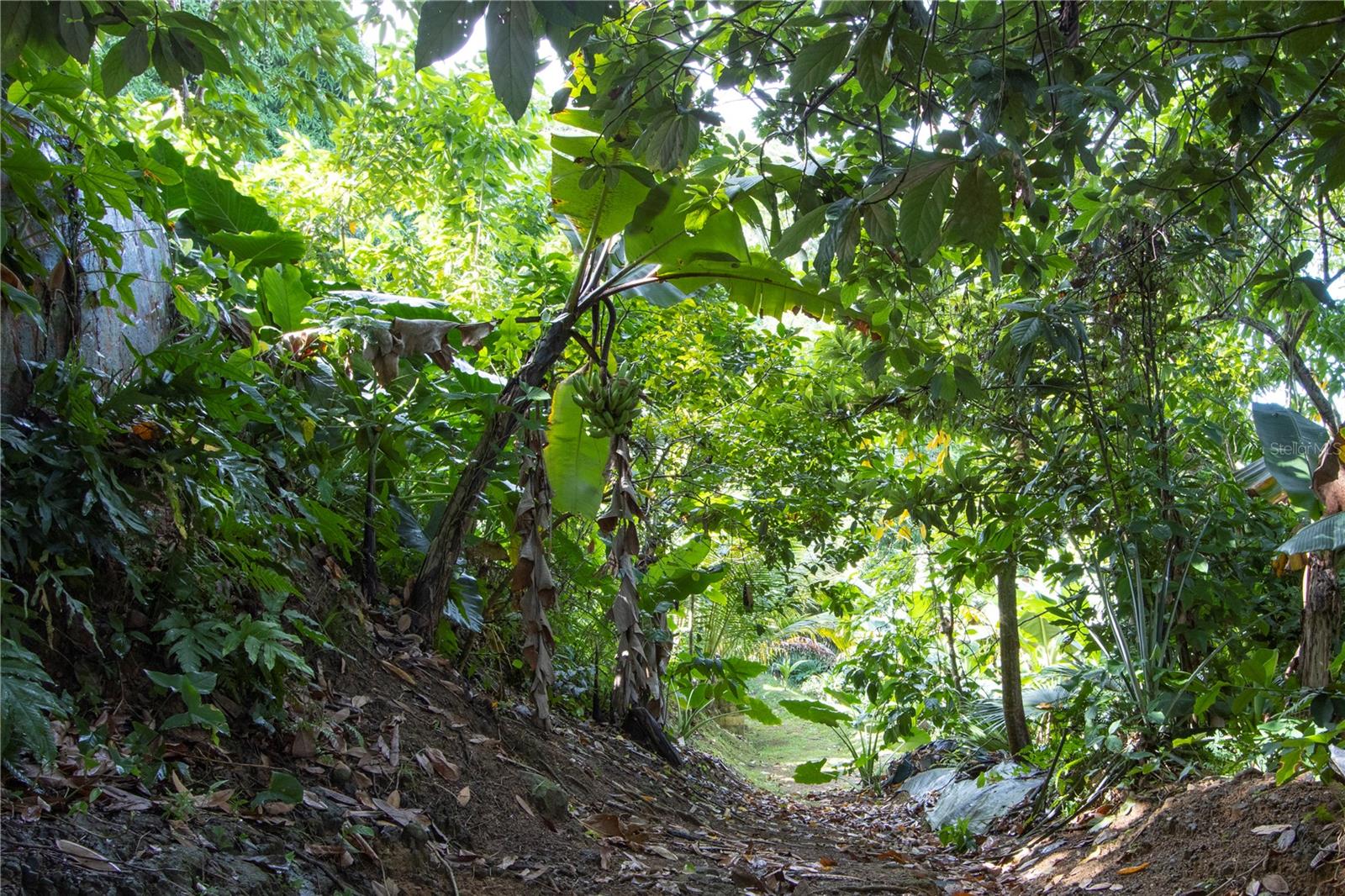 PR9117865 Property Photo