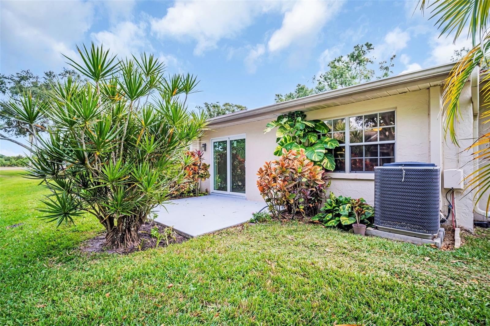 Landscaping for privacy~